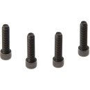 Fender Mounting Screws Black Galvanized