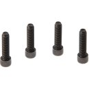 Fender Mounting Screws Black Galvanized