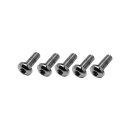 Brake Rotor Screw Kit 3/8" Chrome