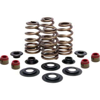 BEEHIVE VALVE SPRING KIT 600