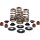 BEEHIVE VALVE SPRING KIT 600