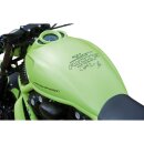 Race Airbox Cover