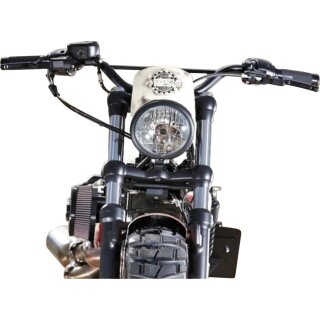 Sportster 48 Windshield Raw