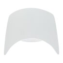 Sportster 48 Windshield Raw