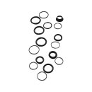 CALIPER SEAL KIT