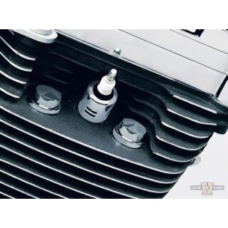 Peaked Head Bolt Cover Chrome