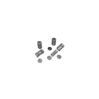 Valve Spring Kits