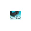 Aircleaner Backplate Gasket Kit