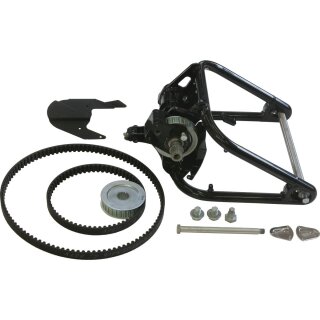 300 Trick n Roll Swingarm, Twin Cam 88