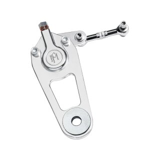 2-Piston Springer Brake Caliper