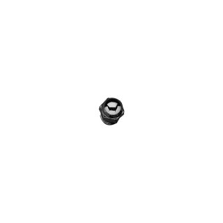 Timing Plug Chrome