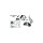 Black Swingarm Swingarm