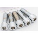 Smooth Allen Head Screw Pack Chrome Allen head...