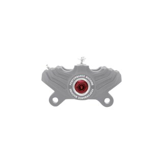 Vintage Brake Caliper Bolt Red