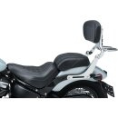 Fixed Mounts Chrome