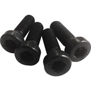 Fender Mounting Screws Black Galvanized