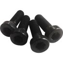 Fender Mounting Screws Black Galvanized