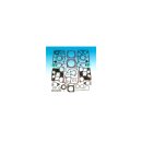 Twin Cam 88 Motor Gasket Kit