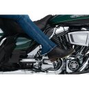 Adjustable Passenger Pegs