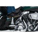 Adjustable Passenger Pegs