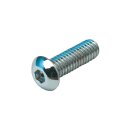 Long Buttonhead Screw Pack Chrome Allen head 3/8"-16...