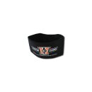 CCE Kidney Belt Nierengurt