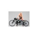 Velocity 2-Piece Brake Rotor Chrome Stainless Steel...