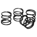 PUSHROD COVER SPRINGS Pushrod Cover Springs