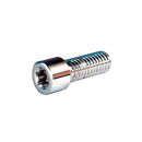 Smooth Sockethead Torx Screw Pack Chrome Hex head Torx 5/16"-18 UNC 1 1/4"