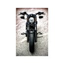 Palas Lower Fork Cover
