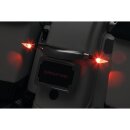Custom Rear Turn Signal Mount Chrome