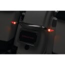 Custom Rear Turn Signal Mount Chrome
