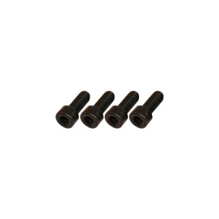Fender Mounting Screws Black Galvanized