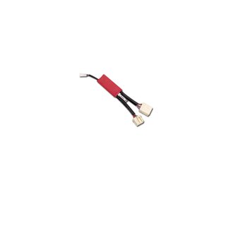 The Flasher Electronic Controller Electronic Controller