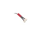 The Flasher Electronic Controller Electronic Controller