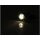 Proton Two LED Turn Signal/Position Light LED, Tinted Lens, Black Metal Housing Black Smoke LED