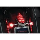Custom Rear Turn Signal and License Plate Mount Black Satin