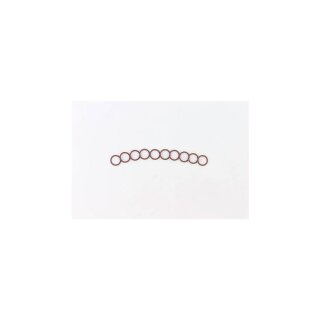 CAM SENSOR O-RING