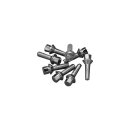 Tappet Engine Block Screw Set 1/4" - 20 Chrome