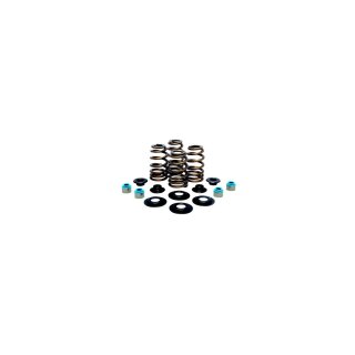 BEEHIVE VALVE SPRING KIT 630