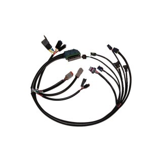 EFI Harness OEM, Complete EFI Harness