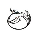 EFI Harness OEM, Complete EFI Harness
