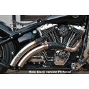 Outline Rainbow V2 Exhaust System Satin