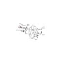 LOCKWASHER CAM GEAR