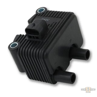 Ignition Coil Black 5 Ohm Dual Fire