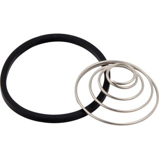 Repl Spring & Oil Ring Set
