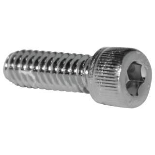 Sockethead Screw Pack Polished Socket head