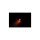 Apollo Classic LED Turn Signals/Taillight/Brake Light Smoke Lens Black Smoke LED