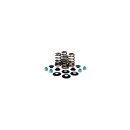 BEEHIVE VALVE SPRING KIT 0.610" LIFT