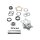 STAR HUB REBUILD KIT